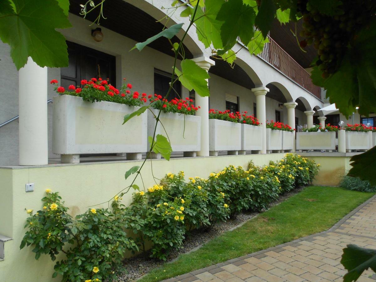 イルミッツ Weingut Gastehaus Palkowitsch Bed & Breakfast エクステリア 写真