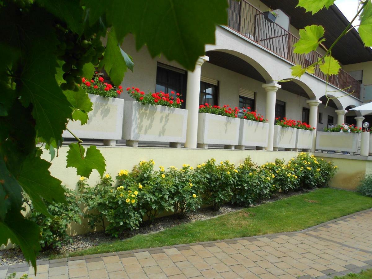 イルミッツ Weingut Gastehaus Palkowitsch Bed & Breakfast エクステリア 写真