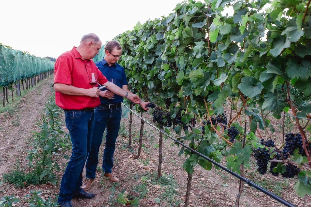 イルミッツ Weingut Gastehaus Palkowitsch Bed & Breakfast エクステリア 写真
