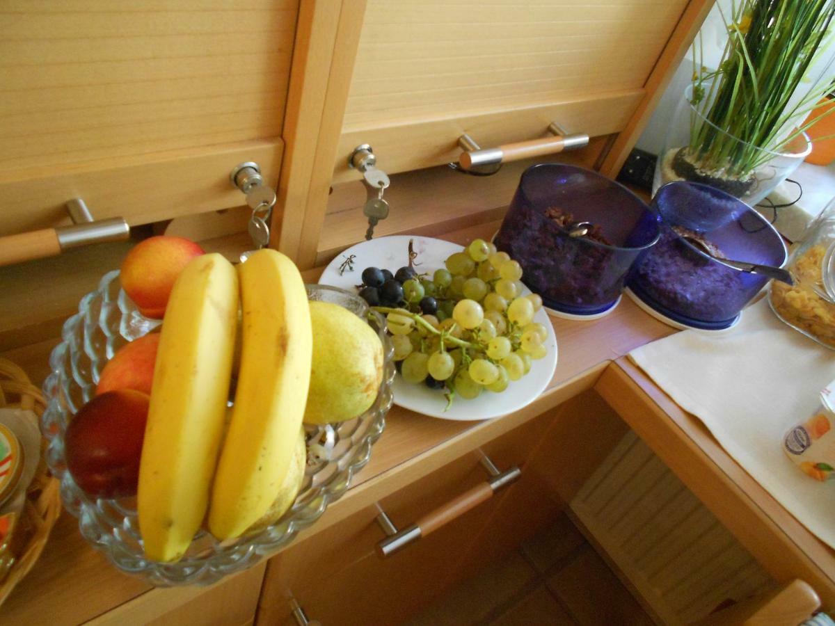 イルミッツ Weingut Gastehaus Palkowitsch Bed & Breakfast エクステリア 写真