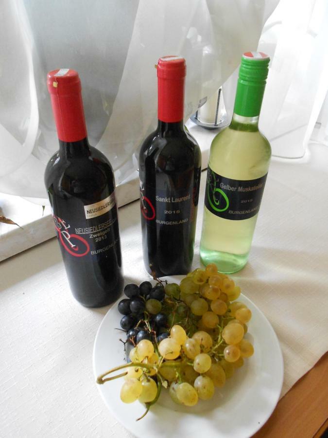 イルミッツ Weingut Gastehaus Palkowitsch Bed & Breakfast エクステリア 写真